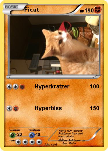 Pokemon Ficat