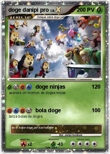 Pokemon doge danipi pro