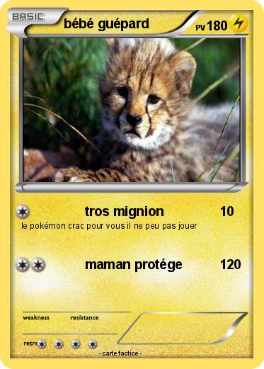 Pokemon bébé guépard