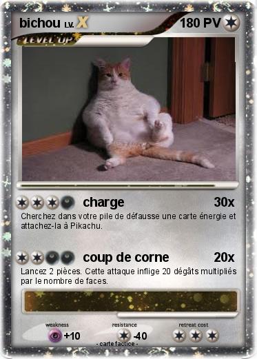 Pokemon bichou