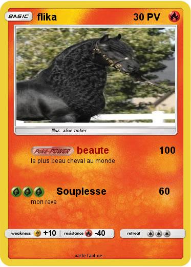 Pokemon flika