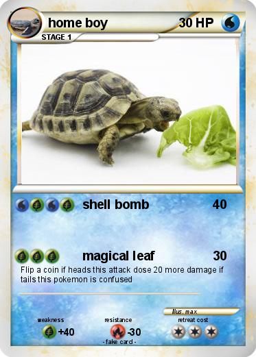 Pokemon home boy