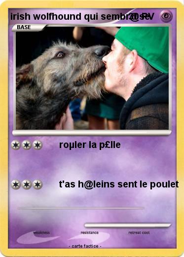 Pokemon irish wolfhound qui sembr@se