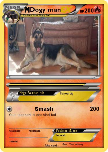 Pokemon Dogy man
