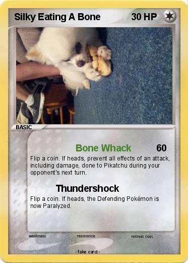 Pokemon Silky Eating A Bone