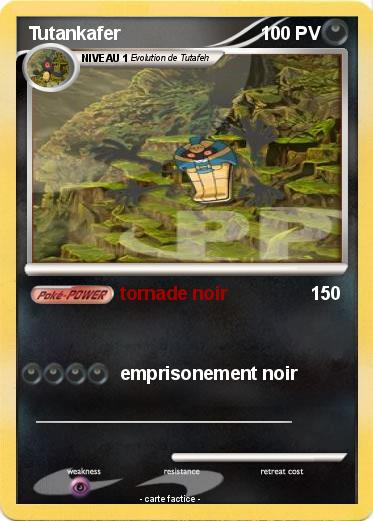 Pokemon Tutankafer