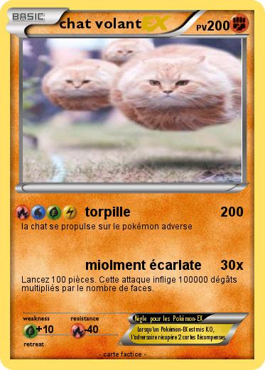 Pokemon chat volant