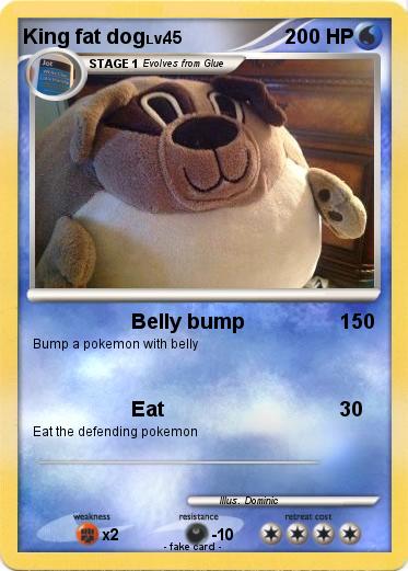 Pokemon King fat dog