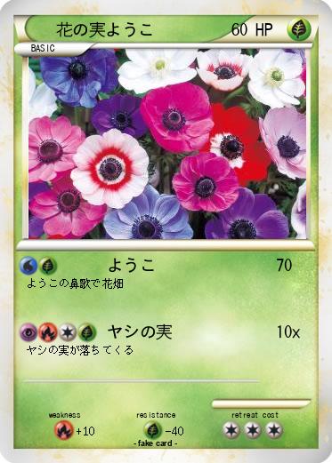 Pokemon 花の実ようこ