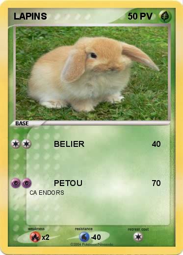 Pokemon LAPINS 