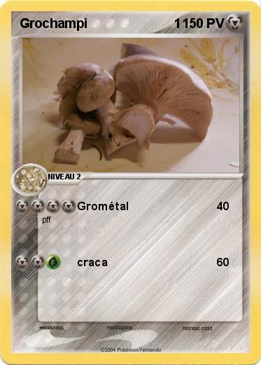 Pokemon Grochampi                        1