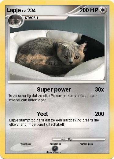 Pokemon Lapje