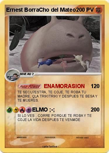 Pokemon Ernest BorraCho del Mateo