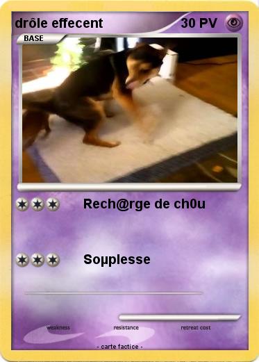 Pokemon drôle effecent