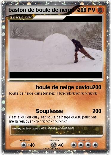 Pokemon baston de boule de neige