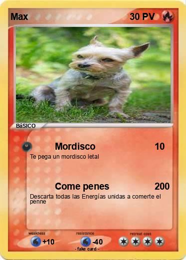 Pokemon Max