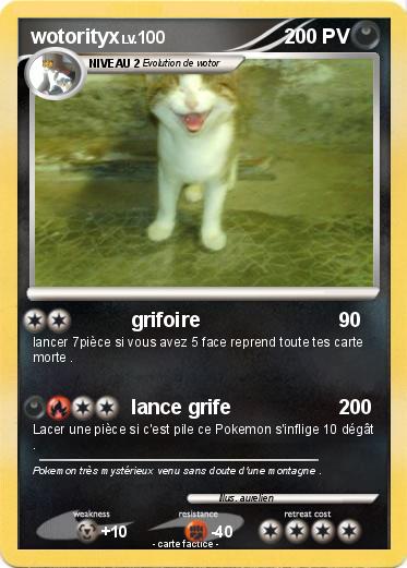 Pokemon wotorityx