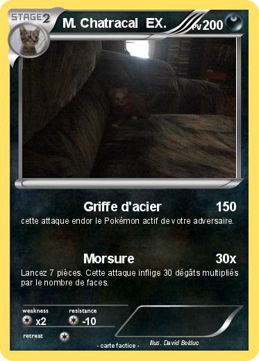 Pokemon M. Chatracal  EX.