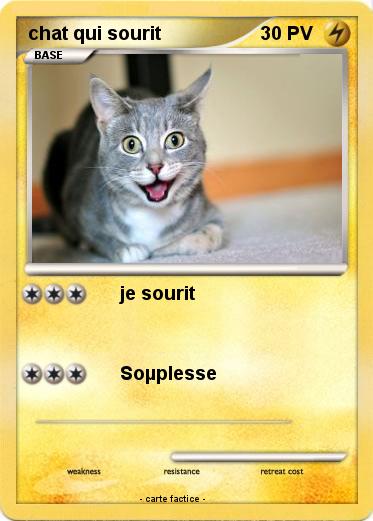 Pokemon chat qui sourit