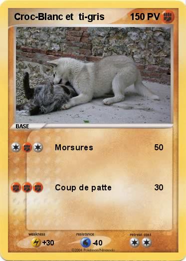 Pokemon Croc-Blanc et  ti-gris