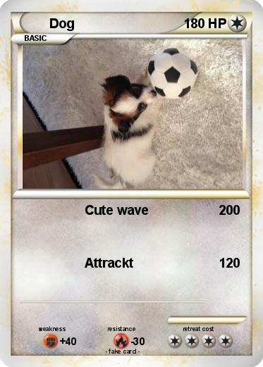 Pokemon Dog