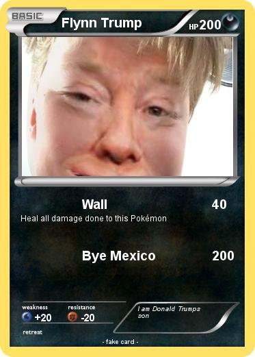 Pokemon Flynn Trump