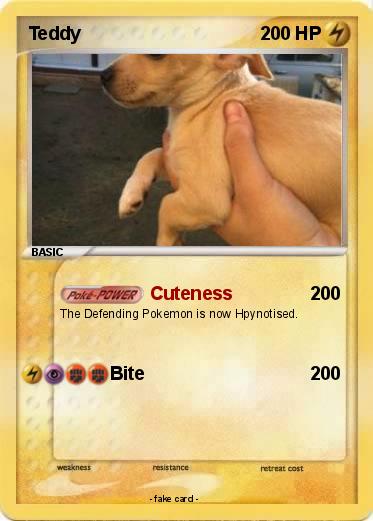 Pokemon Teddy