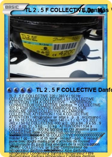 Pokemon TL 2 . 5 F COLLECTIVE Danfoss ™