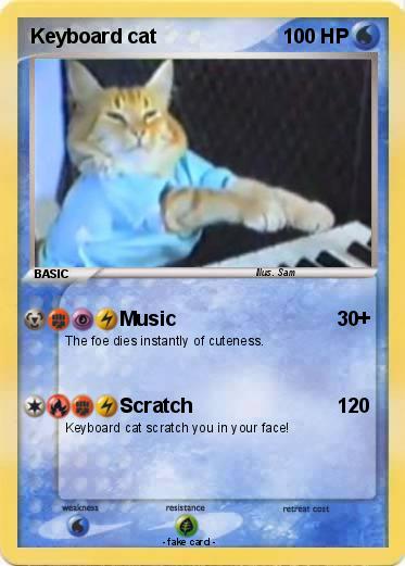 Pokemon Keyboard cat