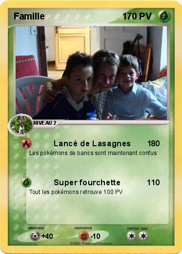 Pokemon Famille                               1