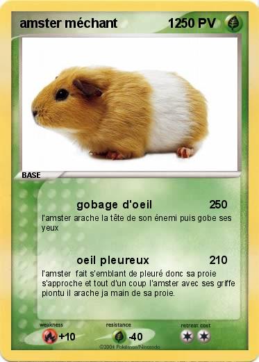 Pokemon amster méchant              12  