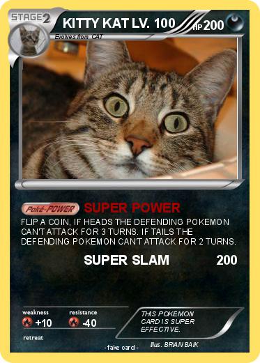 Pokemon KITTY KAT LV. 100