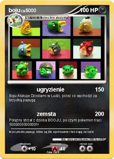 Pokemon boju