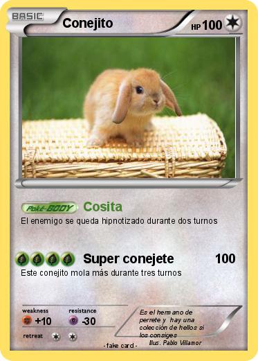 Pokemon Conejito