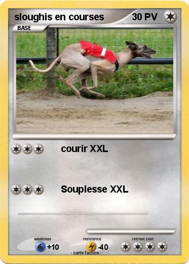 Pokemon sloughis en courses