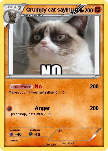 Pokemon Grumpy cat saying no