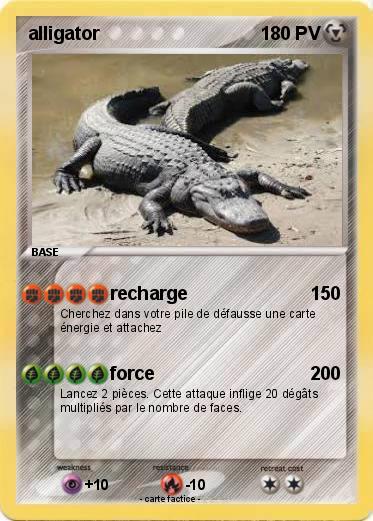 Pokemon alligator