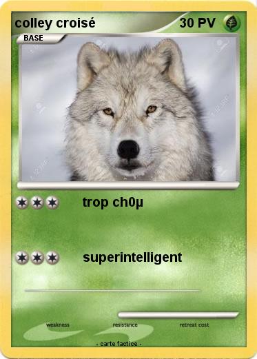 Pokemon colley croisé