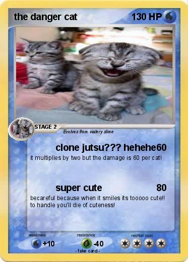 Pokemon the danger cat