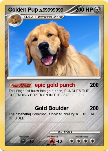 Pokemon Golden Pup