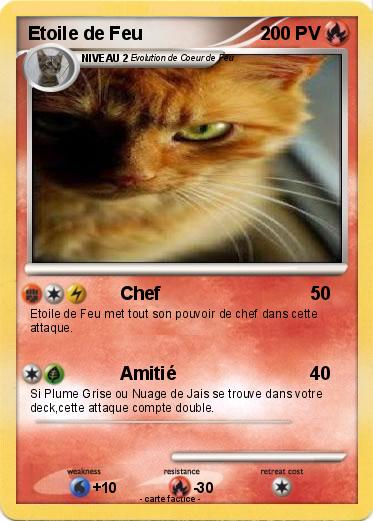 Pokemon Etoile de Feu