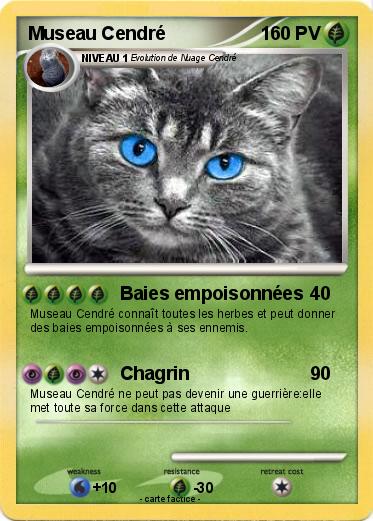 Pokemon Museau Cendré