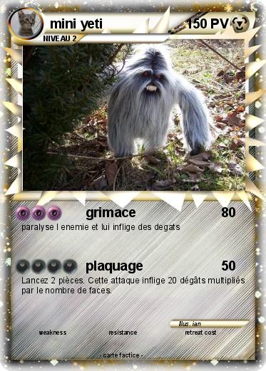 Pokemon mini yeti