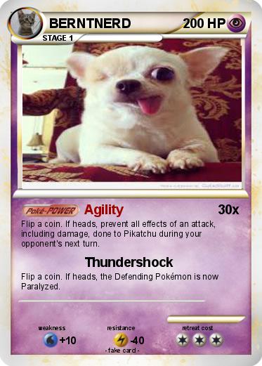 Pokemon BERNTNERD