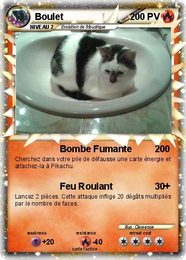 Pokemon Boulet