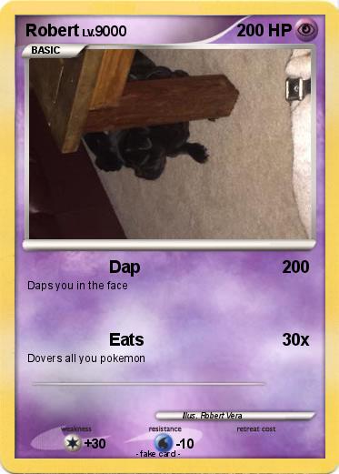 Pokemon Robert