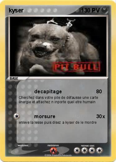 Pokemon kyser