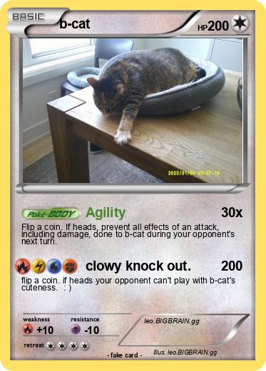 Pokemon b-cat