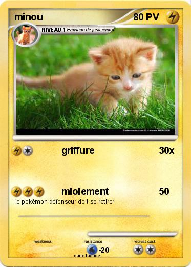 Pokemon minou