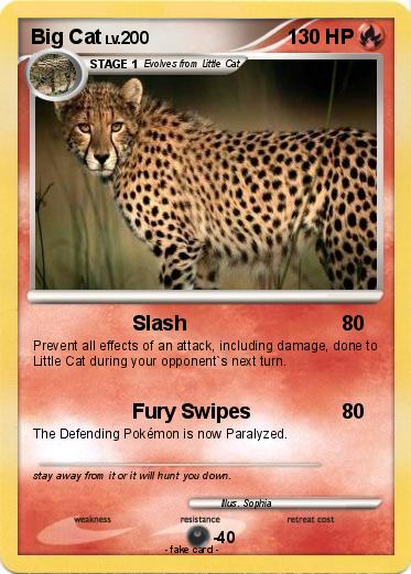 Pokemon Big Cat